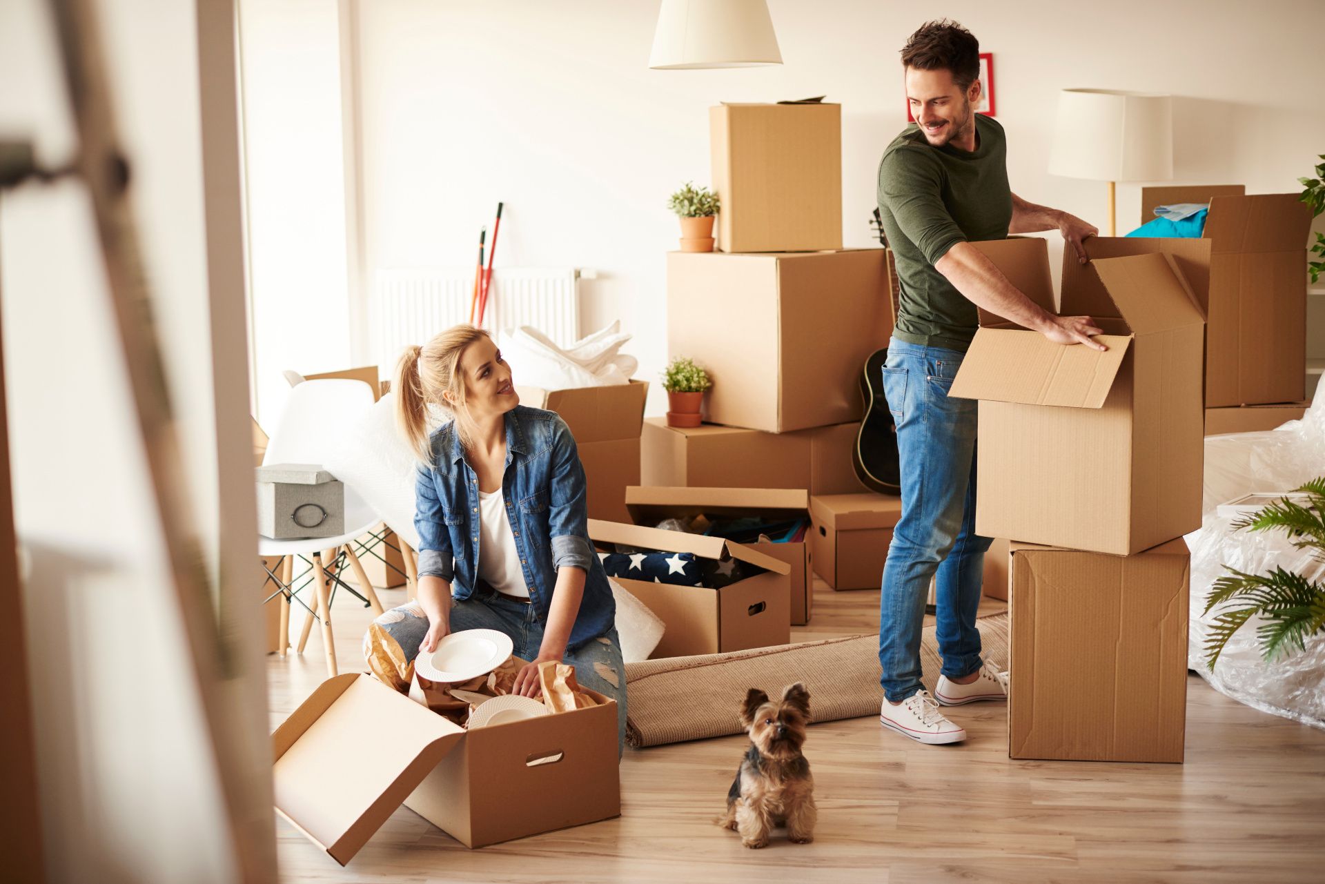 Couple and dog happy to be moving home, packing up their belongings into boxes